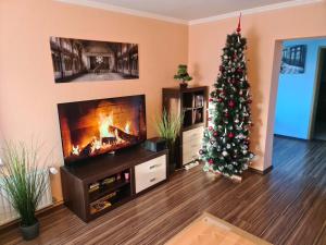 a living room with a christmas tree and a fireplace at BIG Apartment - 150qm in Bad Liebenwerda in Bad Liebenwerda