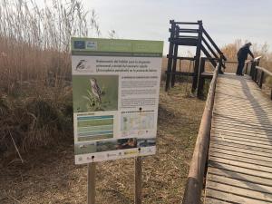Przyroda w pobliżu tego apartamentu