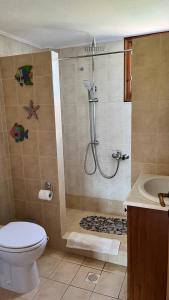 a bathroom with a shower with a toilet and a sink at MaVitaPlace Olympus Olive House-Upper floor Leptokarya in Leptokaria +37 photos