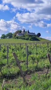 a vineyard with a house on top of a hill at Maison Charmeilles - Le studio Canon de Fronsac in Fronsac