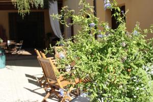 Сад в B&B Al Borgo