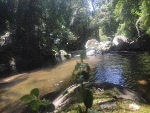 a stream of water with rocks in a forest at Chácara Engenho in Itamonte