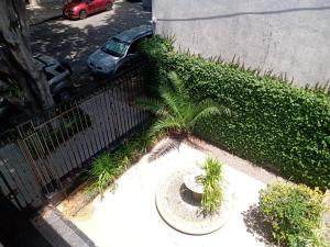 d'une vue sur une clôture avec un palmier dans l'établissement Departamento dos ambientes Belgrano R, à Buenos Aires