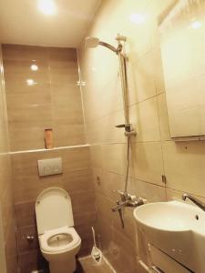 a small bathroom with a toilet and a sink at Family Hotel Taksim in Istanbul