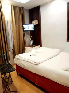 a hotel room with a bed and a television at Family Hotel Taksim in Istanbul