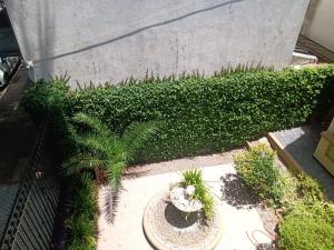 a garden with two potted plants and a hedge at Departamento dos ambientes Belgrano R in Buenos Aires