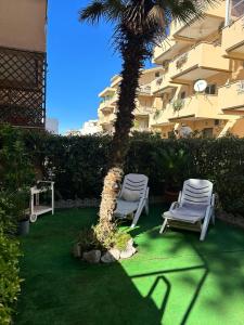 Deux chaises et un palmier en face d'un bâtiment dans l'établissement Seashell Guest House, à Santa Marinella