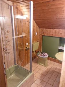 アンベルク・イム・ランマータールにあるFerienwohnung Unterdürmoosのバスルーム(シャワー、トイレ、シンク付)