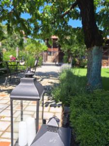 Zahrada ubytování Infinity Boutique Apartments