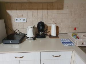 A kitchen or kitchenette at Bella Apartman