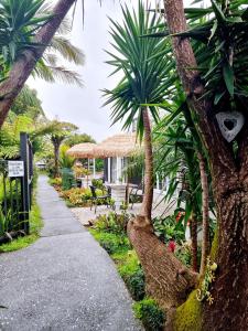 a walkway with palm trees and a building at Southpacific Motel in Whangamata