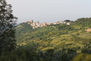 uma cidade no topo de uma colina verde em Corso 46 em Montazzoli