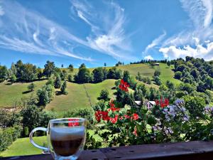 Photo de la galerie de l'établissement Vila Anto, à Şimon
