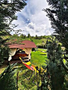 Photo de la galerie de l'établissement Vila Anto, à Şimon