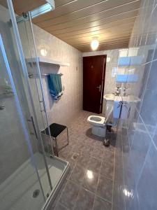 a bathroom with a shower and a toilet and a sink at Apartma Bine in Cerkno