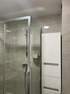 y baño con ducha y puerta de cristal. en Oaza Mirijevo en Mirijevo