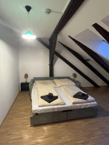 1 dormitorio con 1 cama grande en el ático en Schönes Appartment in Zentrumsnähe, en Graz