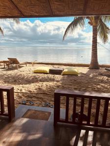 a view of a beach with a bench and a palm tree at Mecaja Beach House in Roxas