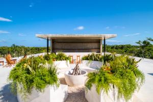 een groep potplanten voor een gebouw bij Original studios by Casago in Tulum