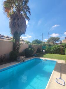 a swimming pool in a yard with a palm tree at Alto Hermoso Apart in Córdoba