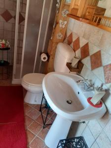 een badkamer met een toilet en een wastafel bij La Stazion in Paderno