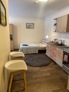 um pequeno quarto com uma cama e uma cozinha em Studio apartamenti Cēsis em Cēsis