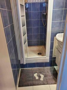 uma casa de banho em azulejos azuis com um chuveiro e um WC em Space and light for friends/family at Paris' door em Asnières-sur-Seine
