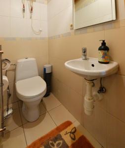 a bathroom with a toilet and a sink at Medaus pirtelė in Trakai