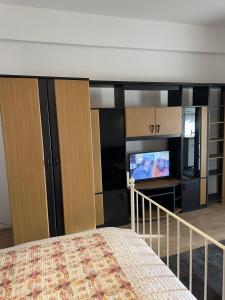 a bedroom with a bed and a flat screen tv at Downtown Studio Calea Victoriei in Bucharest