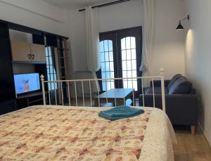 a bedroom with a bed and a couch and a television at Downtown Studio Calea Victoriei in Bucharest