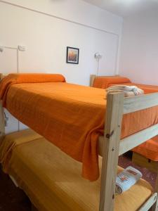 zwei Etagenbetten in einem Zimmer mit orangefarbenen Decken in der Unterkunft Che Neco in Necochea