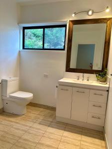 a bathroom with a toilet and a sink and a mirror at Breathtaking Ocean View & short walk to the beach, Pets Welcome FREE WIFI in Ventnor