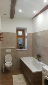 a bathroom with a tub and a toilet and a window at Mediterranean stone house Ucović in Gruda