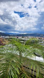 Φυσικό τοπίο κοντά σε αυτό το διαμέρισμα