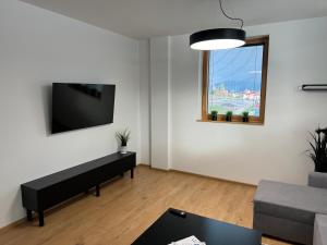 TV a/nebo společenská místnost v ubytování Apartmány Kamenec