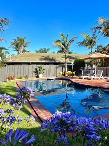 una piscina en un patio con flores púrpuras en Coastal Waters Motor Inn, en Lakes Entrance