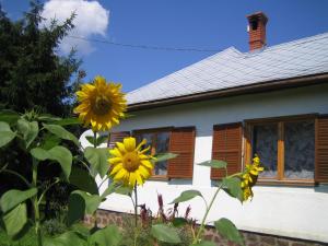 a group of sunflowers in front of a house at Almafás Vendégház Őrség in Kerkakutas