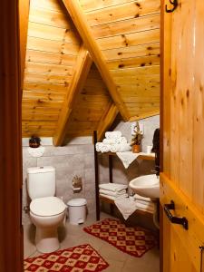 uma casa de banho com um WC e um lavatório em Kore Guest House em Gjirokastër