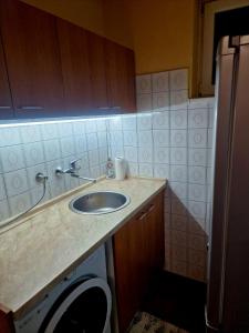 a kitchen counter with a sink and a refrigerator at Holiday home Ravna Planina in Pale