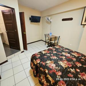 TV a/nebo společenská místnost v ubytování Hostal La Cascada