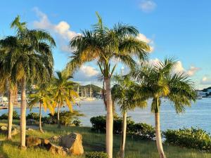 a group of palm trees next to the water at Port de Plaisance Resort, Trademark Collection by Wyndham in Philipsburg