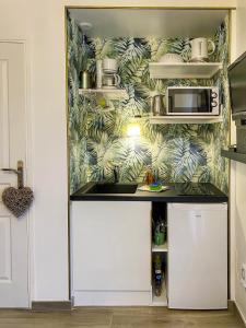 una cucina con bancone e parete verde di DELUX L'EVASION a Saverne