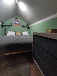 1 dormitorio con 1 cama en una habitación con paredes verdes en Bakino brdo - Granny's hill en Bakovčica