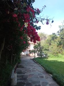 a walkway with flowers hanging from a tree at Casa de Mama Valle - Urubamba in Urubamba