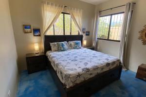 a bedroom with a bed and two windows at 5 Minutes to Downtown Los Barriles, Walk to Beach in Los Barriles