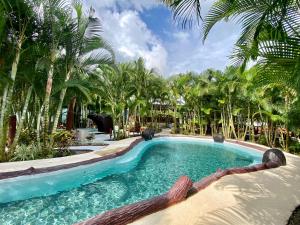 a swimming pool in a resort with palm trees at Termales del Arenal in Fortuna