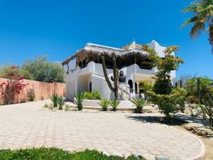 une maison blanche avec un palmier et une terrasse dans l'établissement 10 Minute Walk to Pickleball and the Sea of Cortez, à Los Barriles