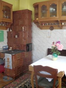 Kuchyň nebo kuchyňský kout v ubytování Cazare Poienita