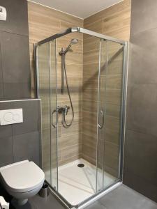 a bathroom with a shower and a toilet at Les Chalets de Montriond B101 in Montriond +8 photos