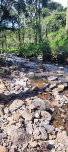 a rocky river with rocks and trees in the background at Pousada Floresta Das Estrelas in Urubici